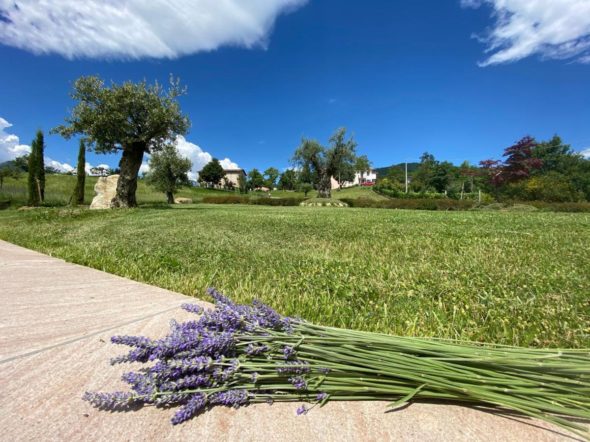 Bed and Breakfast L'Oca Giuliva Relais Gaggio Montano Exteriér fotografie