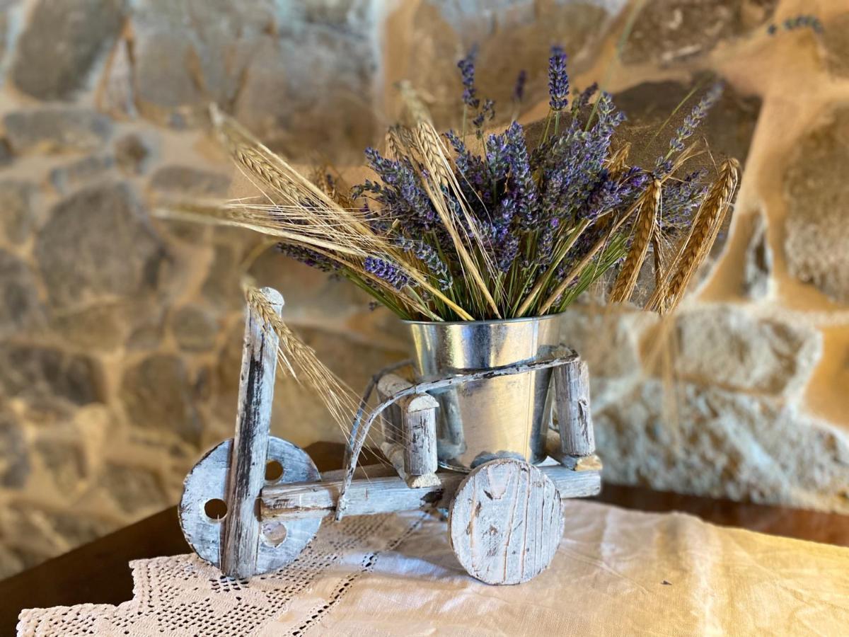 Bed and Breakfast L'Oca Giuliva Relais Gaggio Montano Exteriér fotografie